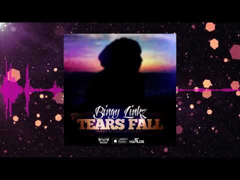 BINGY LINKZ - TEARS FALL [AUDIO VISUAL]