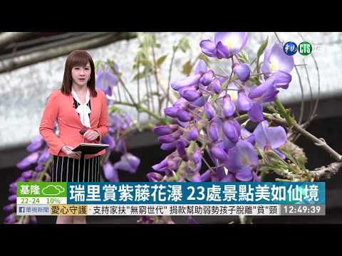 瑞里賞紫藤花瀑 23處景點美如仙境