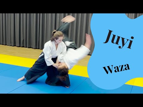 Fast and dynamic Aikido movements (Jiyu Waza)
