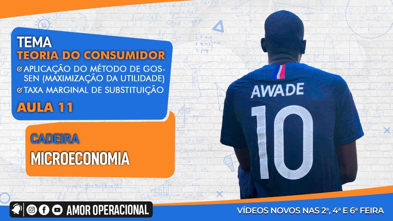 Teoria do Consumidor: Aula Prática