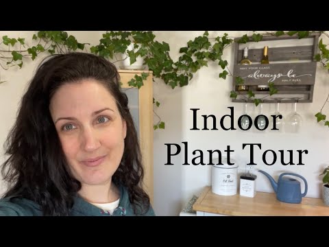 House Plant Tour / low light home