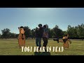 Yogi Bear is Dead (Official Music Video) [Military Cadence Remix] - ft. @TheMarineRapper