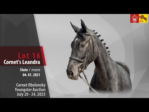 Cornet Obolensky Auktion Lot 16 Cornet`s Leandra Stute v. Cornet Obolensky - Cartier v. d. Heffinck