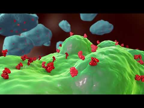 Integral A – How it’s Made and How it Works: