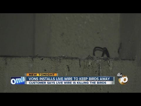 Did Vons install live wire to keep birds away?