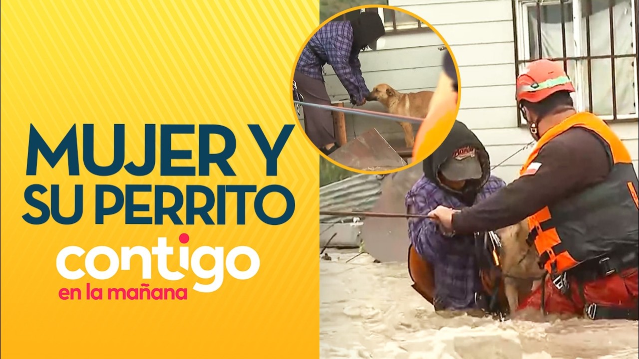 Mujer y su perrito fueron rescatados de inundación en Talagante - Contigo en la Mañana