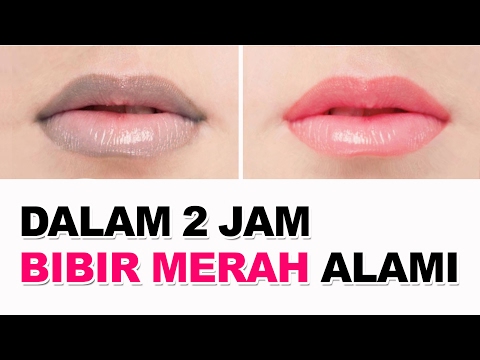 Membungkus untuk menurunkan berat badan Berat paling cepat loss seminggu