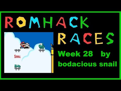 Blind Kaizo Race - Week 28 Level by bodacious snail