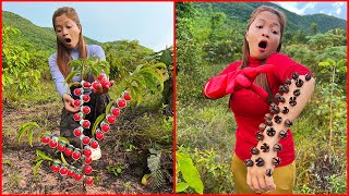 Survival Skills: SMART idea and USEFUL with single mom in forest #bushcraft #camping #outdoors #idea