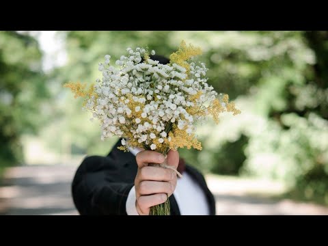 Magnus Carlsen got flowers from David Navara!! #chess #magnus #chessvideoplus #chessrush #chess24