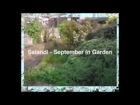 Saiandi - September in Garden