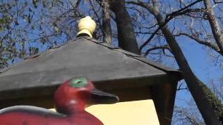 Sunset Rubdown - A Day In The Graveyard II