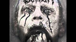 Caliban - Feasting On The Blood Of The Insane(Cover)