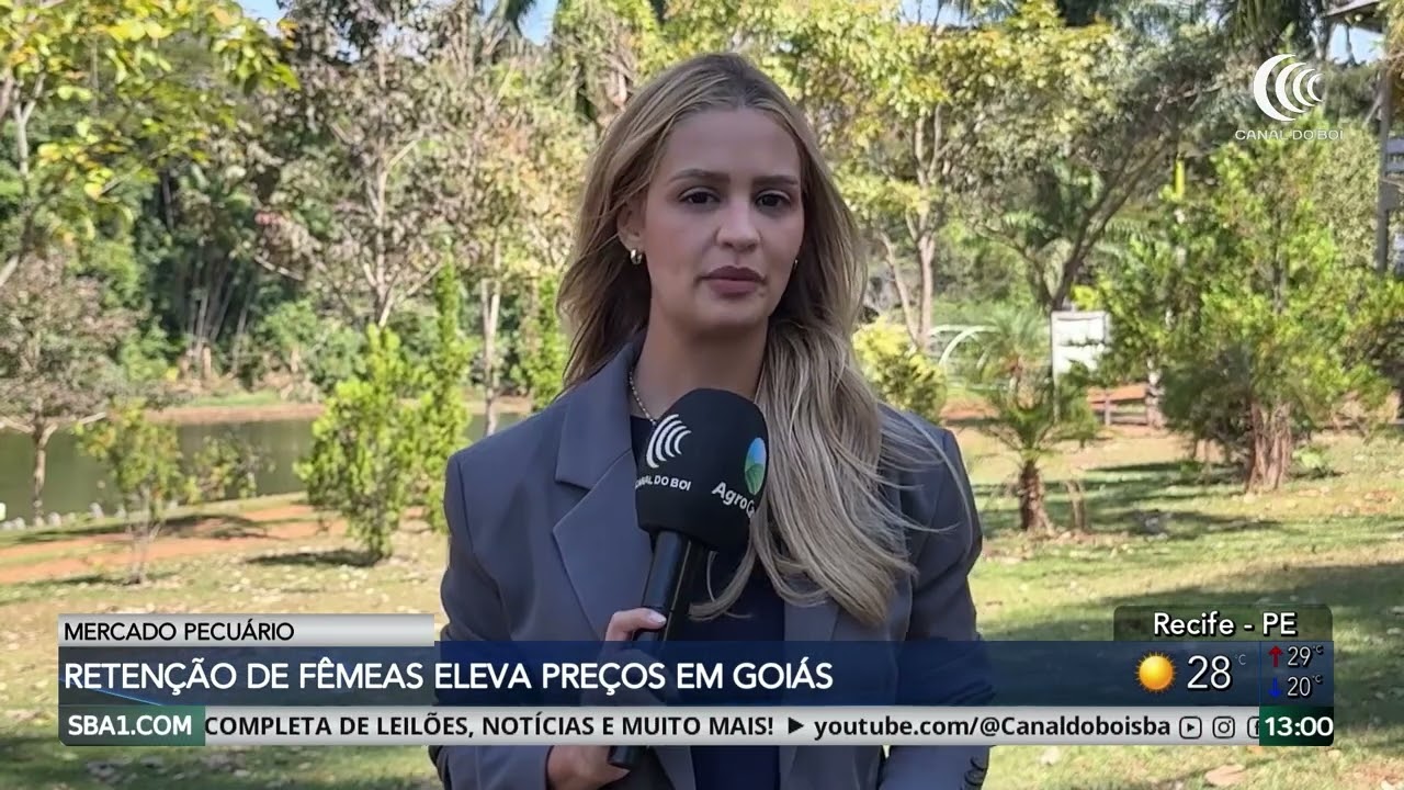 Boi gordo segue valorizado mesmo com barreiras comerciais