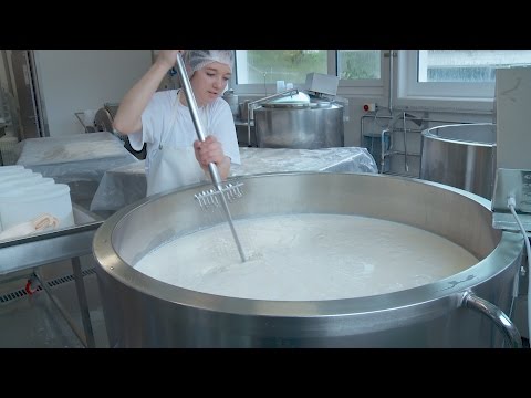 Städtlichäsi Lichtensteig GmbH, 9620 Lichtensteig