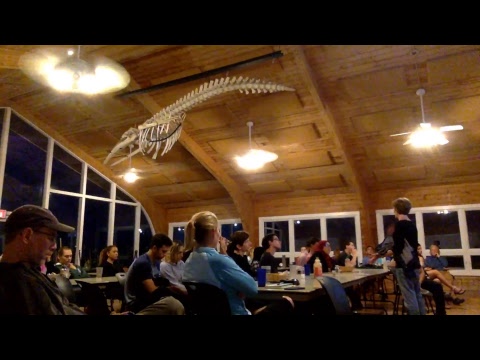 Matthew Lin Live Stream