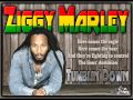 Ziggy Marley - Tumblin Down