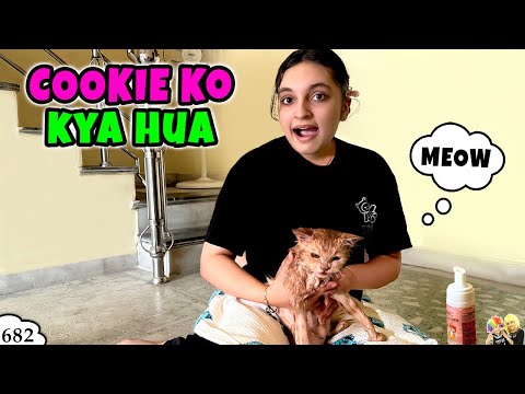 ¿QUÉ PASÓ CON COOKIE | El programa de Aayu y Pihu
