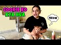 COOKIE KO KYA HUA Ep 682 Aayu And Pihu Show