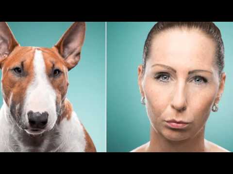 ines opifanti compares dog people to the expressions of their pets