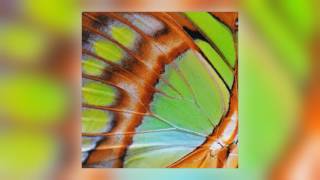 Pearson Sound - Heal Me