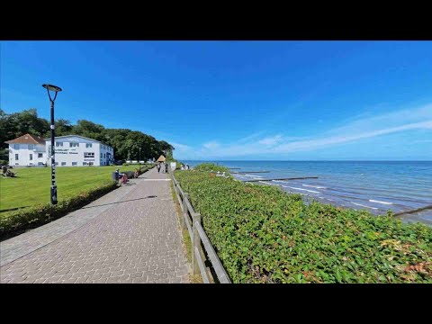 2024 06 20 Nienhagen Gespensterwald Öffentlich