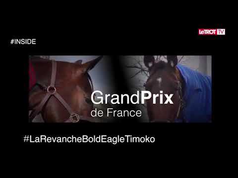 Revanche no grande prêmio da França ,timoko x bold Eagle