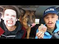 Cop Surprises Vampire Puppy With Car Ride Chase! - Life of Teya Cop Surprises Vampire Puppy With Car Ride Chase!