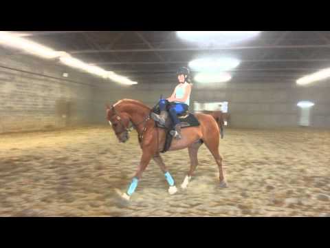First Time Riding side saddle