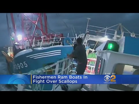 Fishermen Turn Violent In Clash Over Scallops