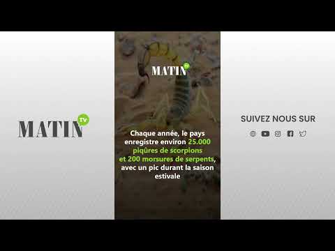 Alerte Santé au Maroc : Les Dangers Insoupçonnés de l'Été et Comment S'en Protéger