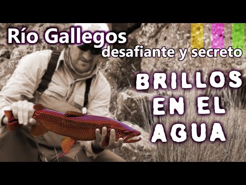 Río Gallegos desafiante y secreto. Brillos en el agua