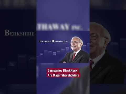 This Company Owns The World (BlackRock)