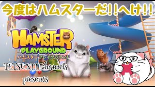 PS5【HAMSTER PLAYGROUND 実況】今度はハムスター！？エンジョイ勢とはこういうことさｗ