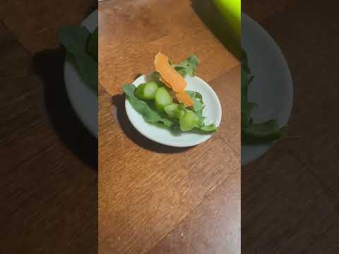 A Colorful Plate of Freshness For Dwarf Hamster