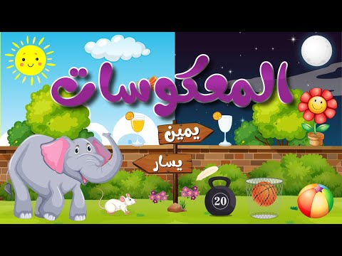 المعكوسات للأطفال - تعليم الكلمة وعكسها باللغة العربية - the opposite words in arabic for kids