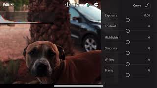 Lightroom mobile tone curve