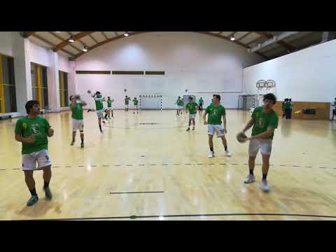 Peripheral Vision Training for Handball Players - Side Pass Exercise