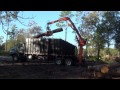 Orlando Tree Service Grapple Truck Loading Logs ...