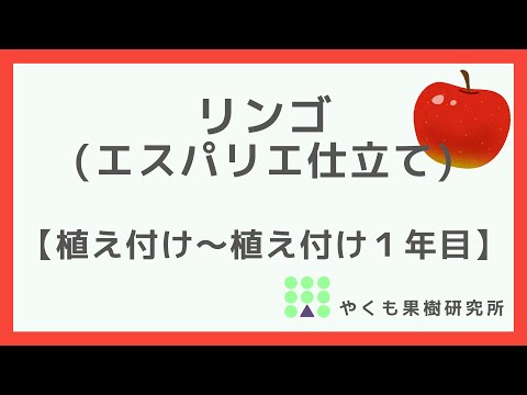 独自のリンゴリングの作成: オプションの概要 植物
