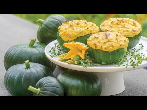 Burpee Cupcake Summer Squash