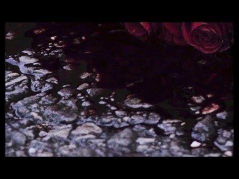 The Purist x WestSide Gunn x Roc Marci - Perfect-Plex