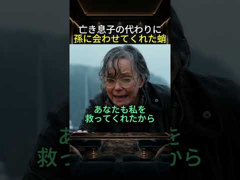 亡き息子の代わりに孫に会わせてくれた蛸