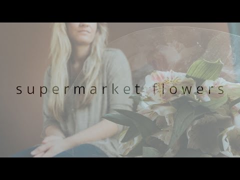 Supermarket Flowers | Ed Sheeran (cover with Charles Berthoud)