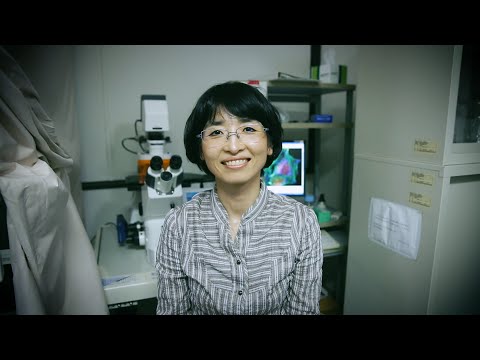 Our 37 trillion cells and their membranes, each made up of lipids and proteins