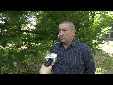 Onkolog prof dr Vladimir Kovčin: Leukemija se danas uspešno leči