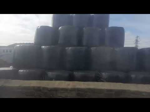 arriva northumbria 1496 NK61CZL Wright pulsar 2 SB200 X9 Blyth