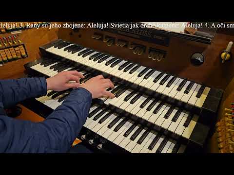 JKS 385 - Veseľ sa, nebies Kráľovná (Dóm sv. Alžbety)