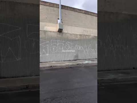 Hangout Boys 55 Bunch