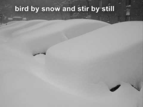 #3 - bird by snow and stir by still